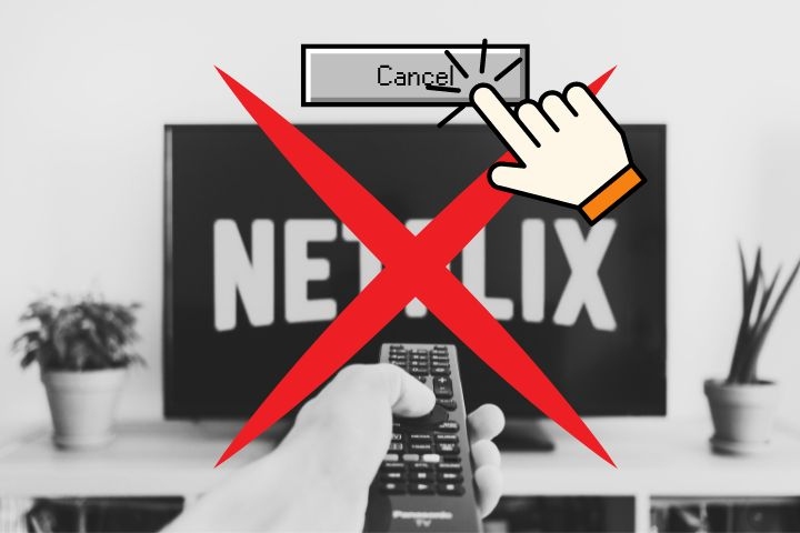 Netflix cancela series